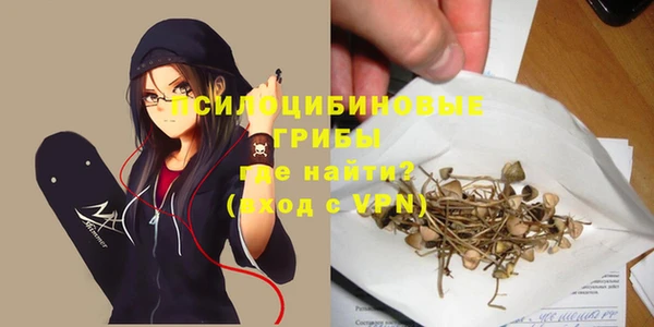 дживик Балахна