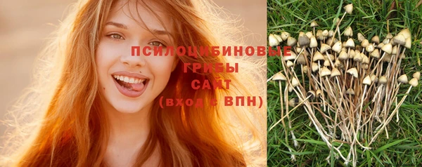индика Арсеньев
