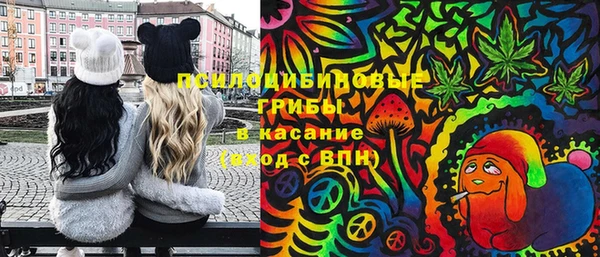 дживик Балахна