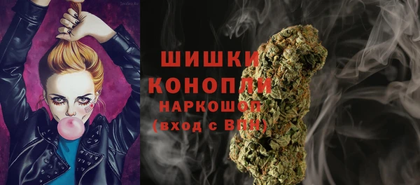 дживик Баксан