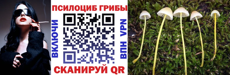 Псилоцибиновые грибы MAGIC MUSHROOMS  сколько стоит  Ясный 