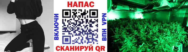mega   Ясный  Бошки Шишки VHQ  купить закладку 